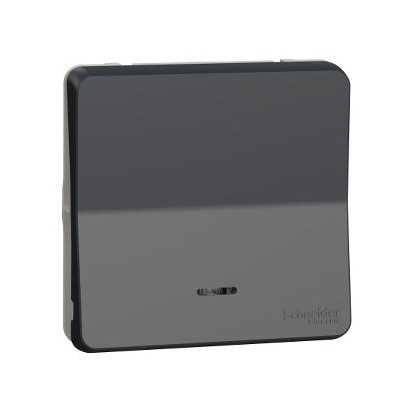MUREVA ANTHRACITE COMPOSABLE POUSSOIR LUMINEUX IP55 IK07