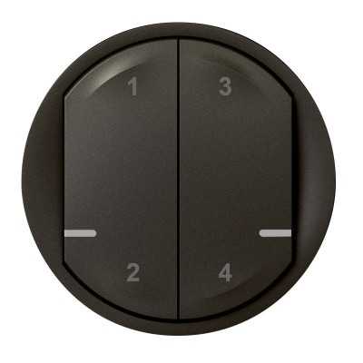 CELIANE WITH NETATMO GRAPHITE ENJOLIVEUR COMMANDE SANS FIL 4 SCENARIO