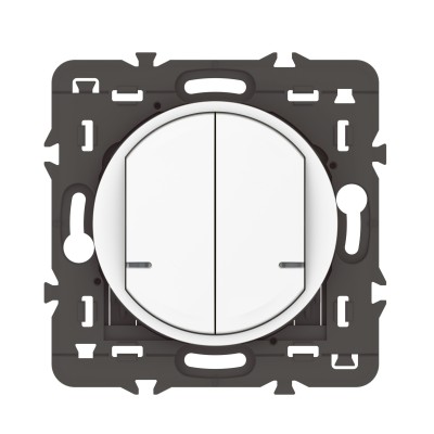 CELIANE WITH NETATMO BLANC COMMANDE DOUBLE SANS FIL